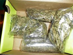 Big Bags of Marijuana 