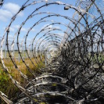 barbed wire prison fence